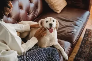 Co wchodzi w wykończenie mieszkania